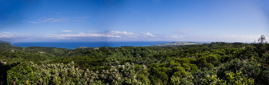 Panoramic view of Sheding Nature Park with the ocean in the distance