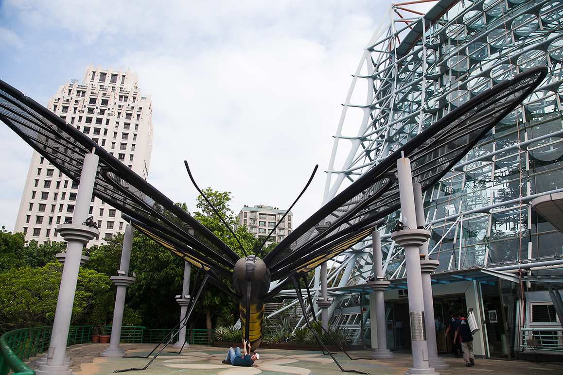 Giant bee sculpture outside National Museum of Natural Science