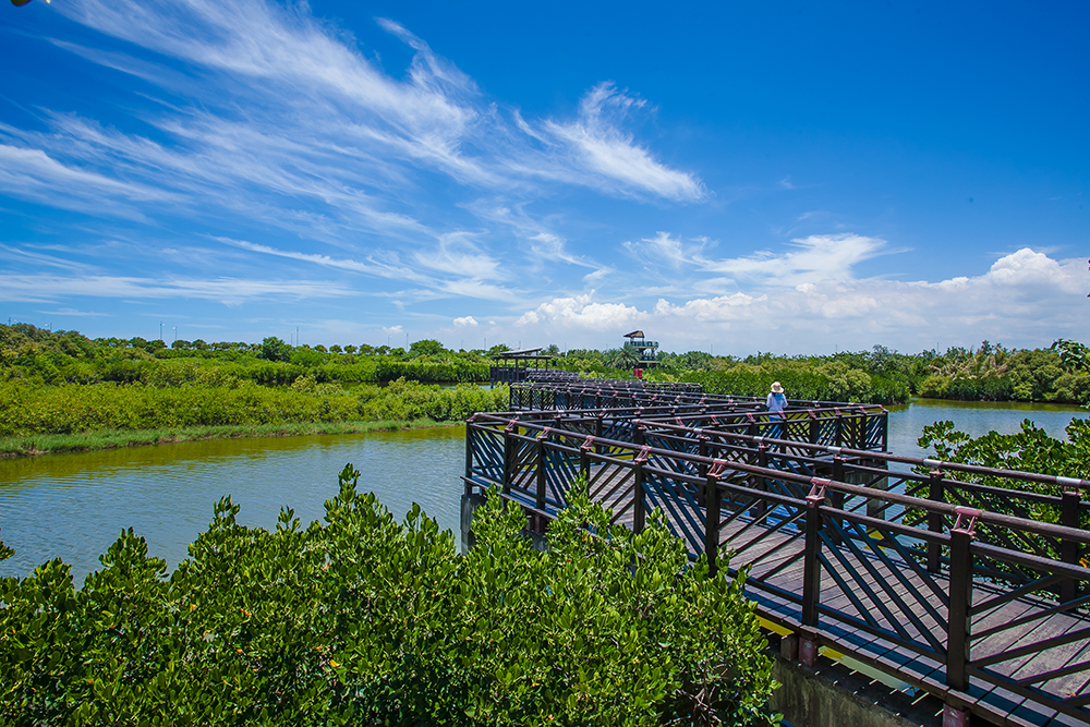 Boardwalk through the Qifeng Wetlands