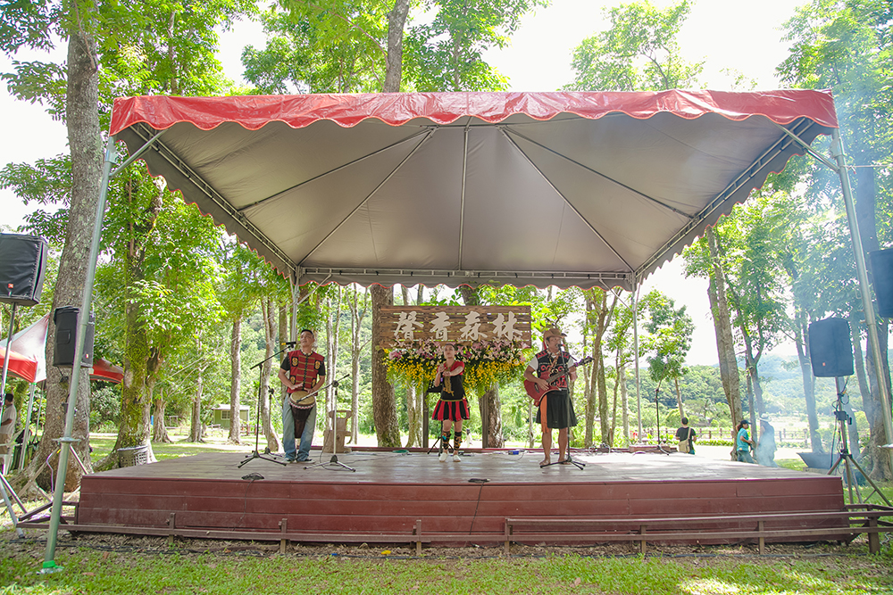 Music performance on stage at the Ginger Lily Festival
