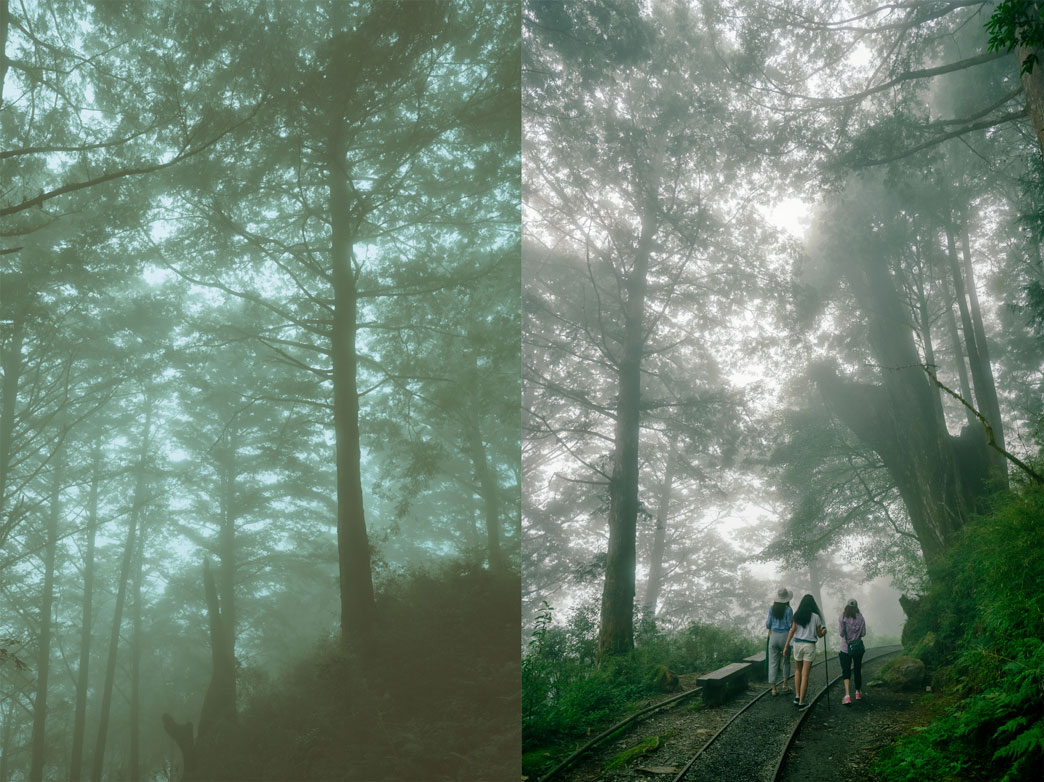 Misty forest along Jianqing Historic Trail