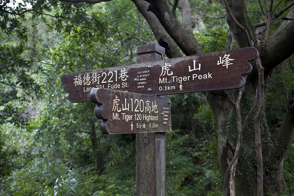 Tiger Mountain trail signs