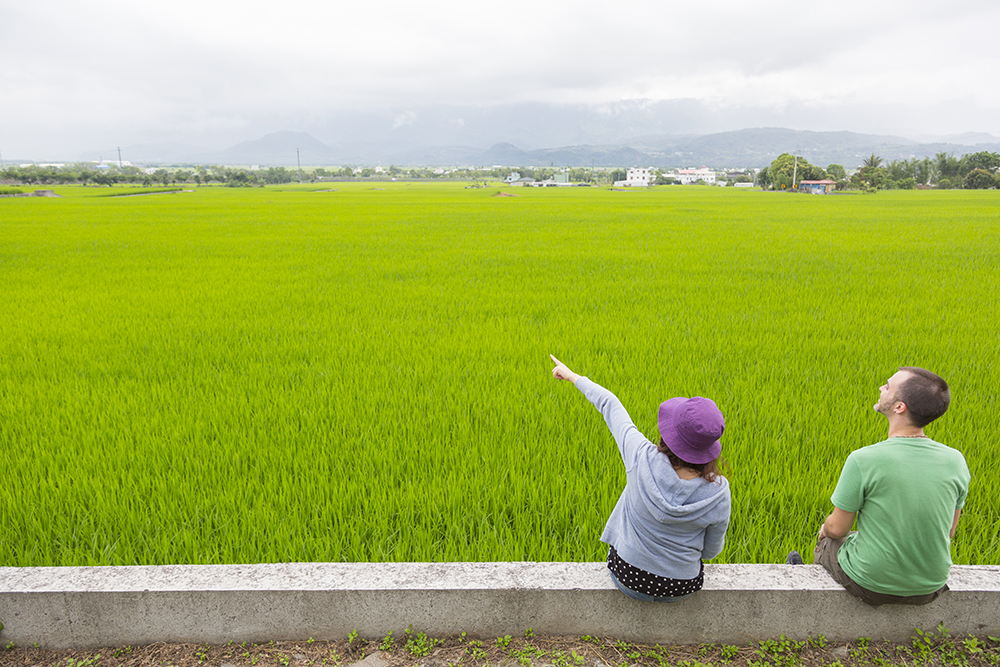 Two bikers enjoying the view of rice paddies