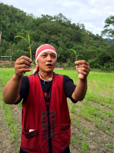 Farmer Fan Yong-zhong of Fanshi Yongxin Millet Garden