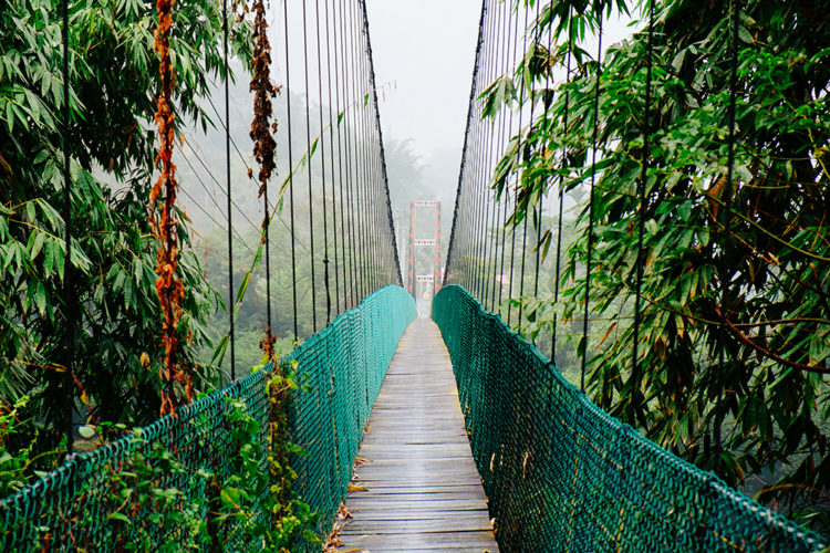 TAIWAN BRIDGES - Images Of Bridges Around Taiwan - Taiwan Everything