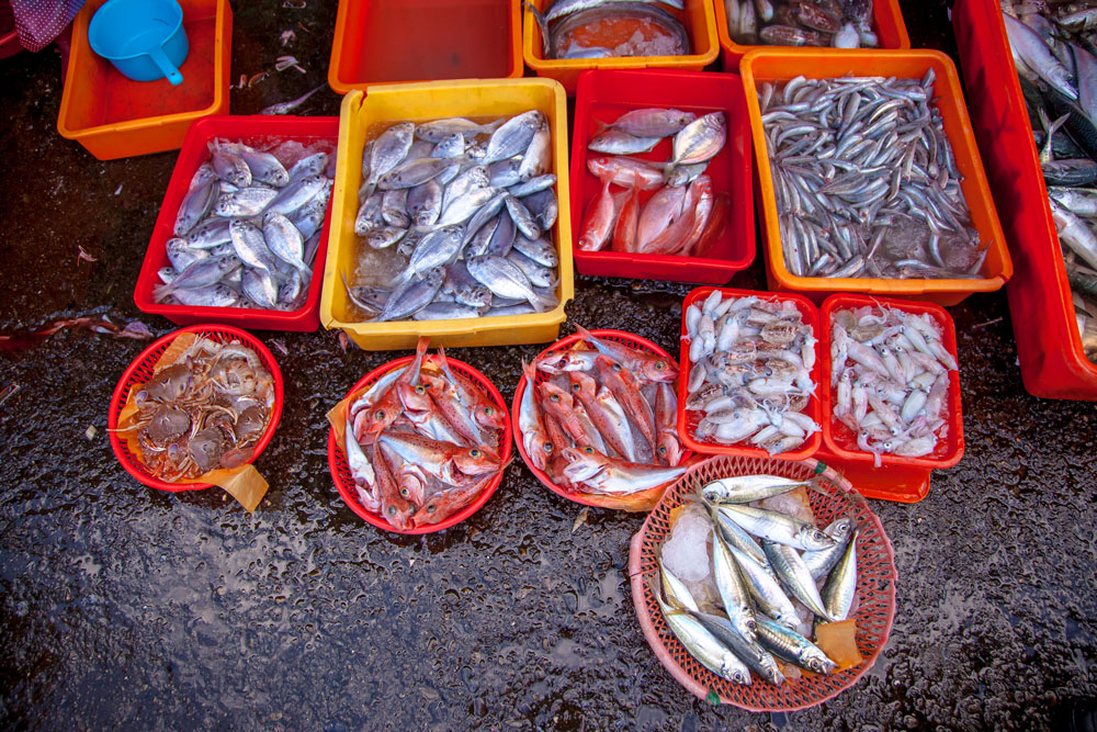 Fresh fish at Nanfang'ao fish market