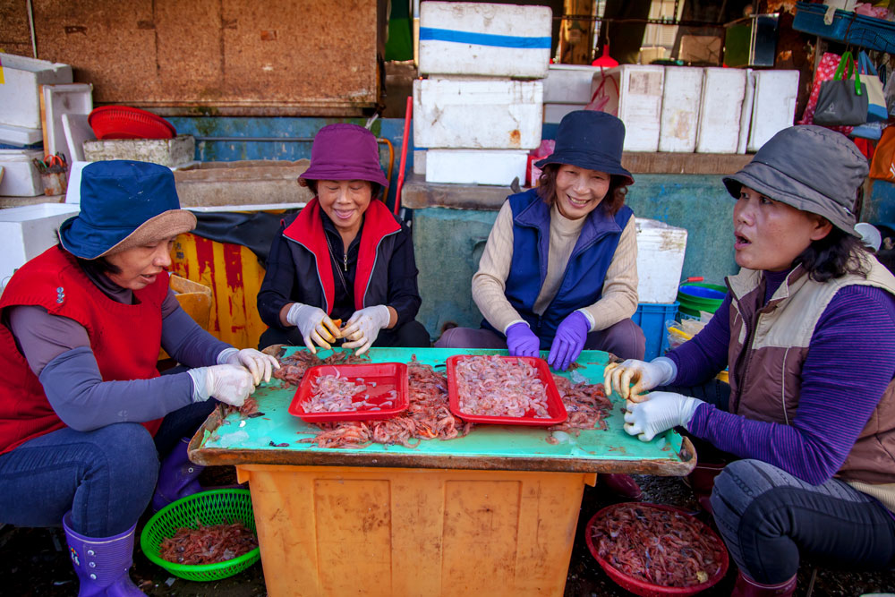 Shrimp processing at Nanfang'ao's fish market