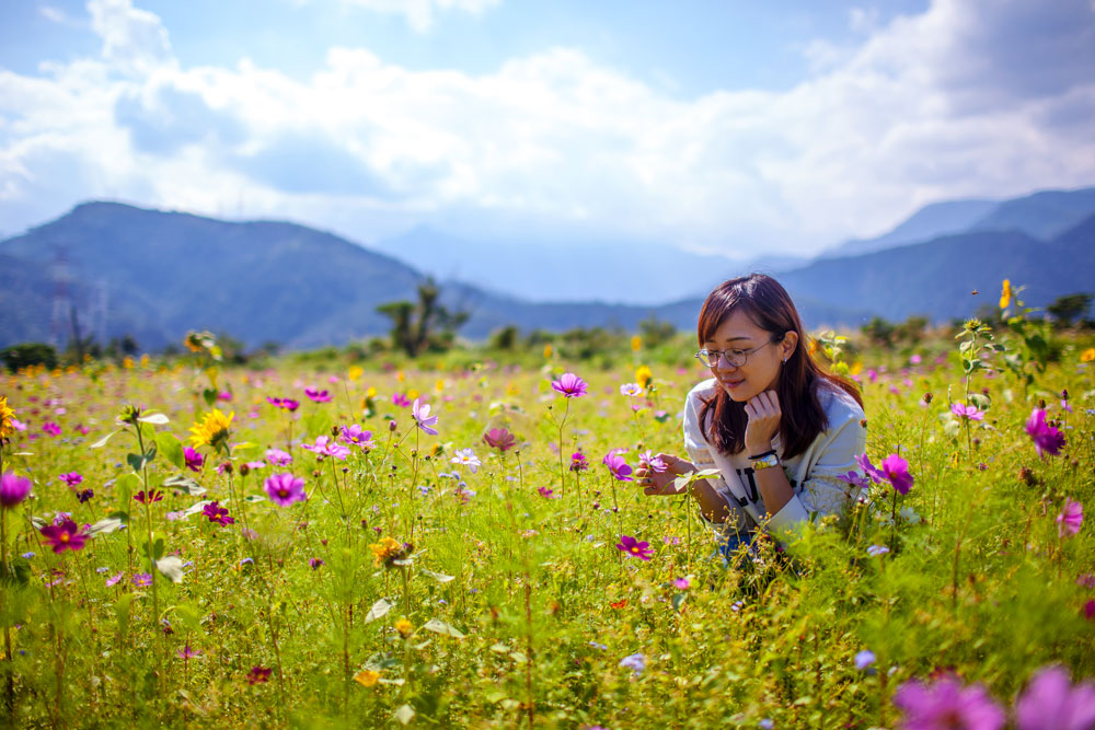 Flower field in Nan'ao