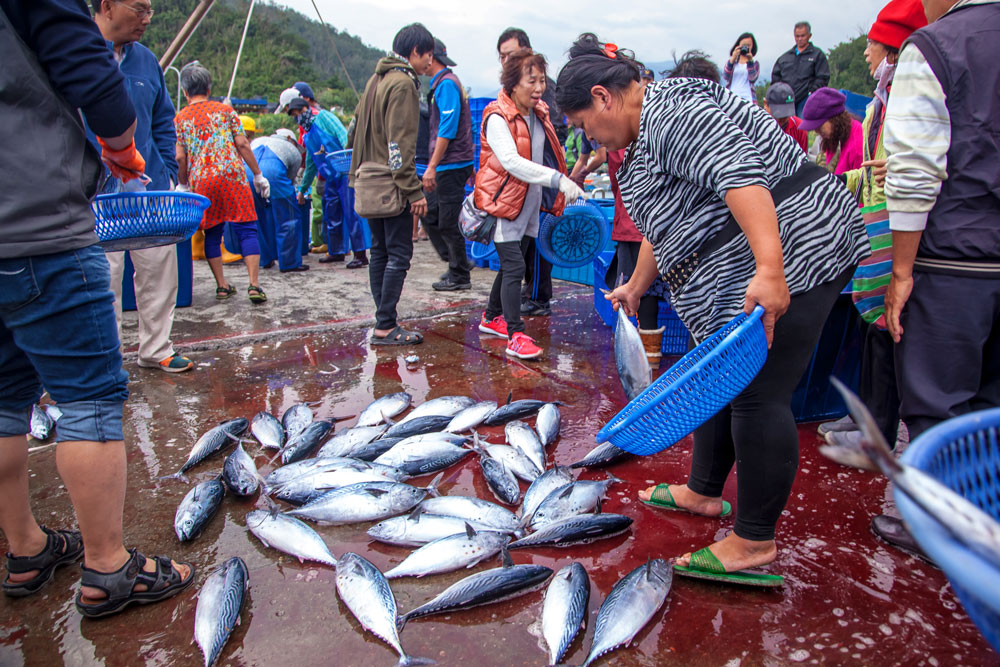 Fish sale at the harbor