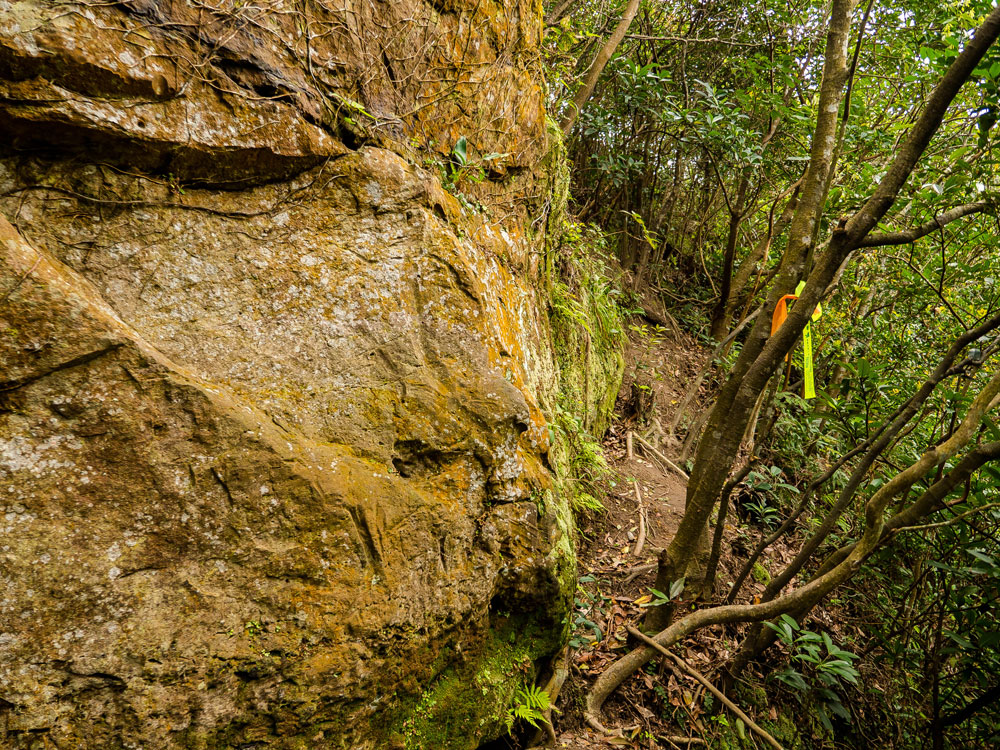 Small cliff face