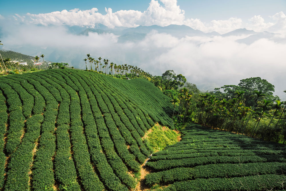 Bihushan, Chiayi County