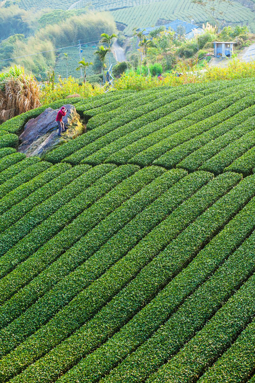 Xiding, Chiayi County