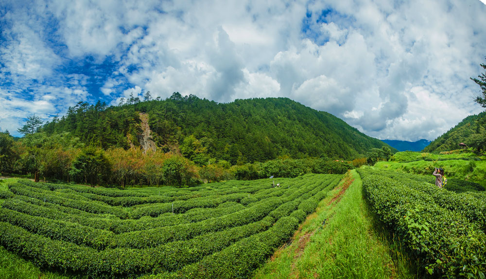 Wuling Farm, Taichung City