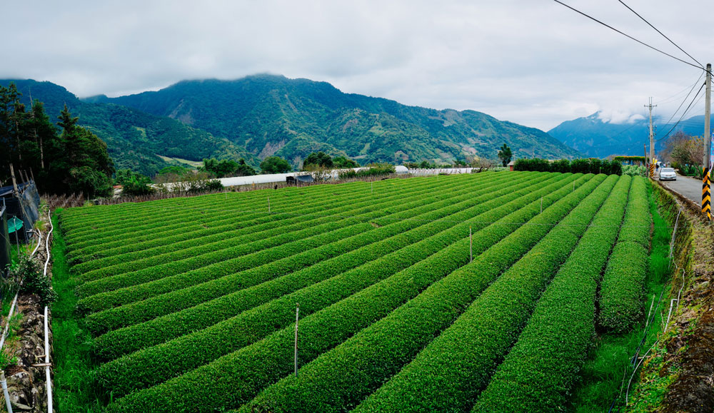 Caopingtou, Nantou County