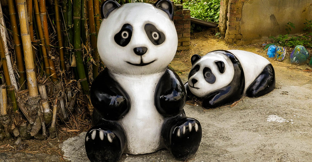 There are no real pandas in Taiwan... (except for the zoo)