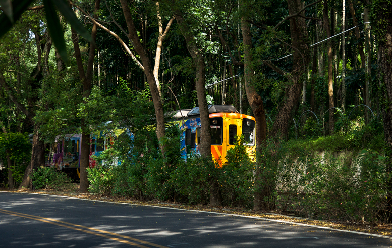 Train on the Jiji Line