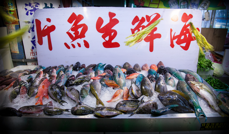 Fresh fish at Houbihu Harbor