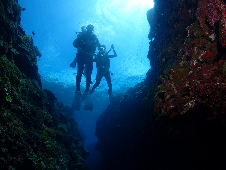 Diving among coral rocks