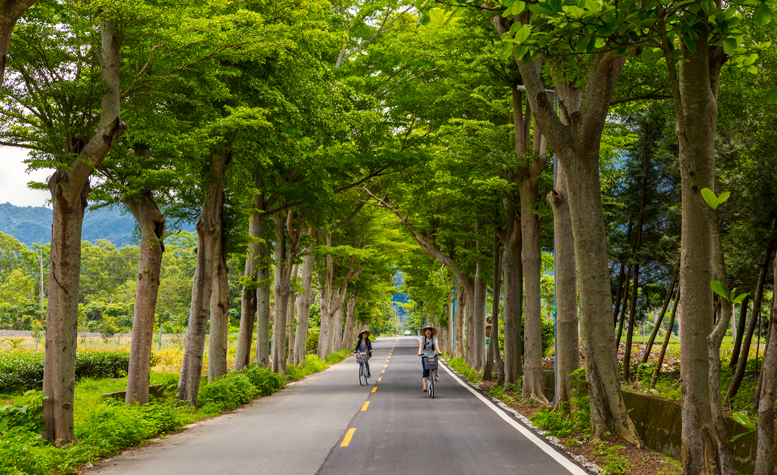 Tree-shaded Longtian Bikeway