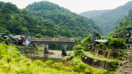 Train on the Pingxi Line traversing verdant valleys