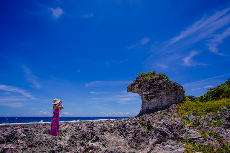 Coral rock coast