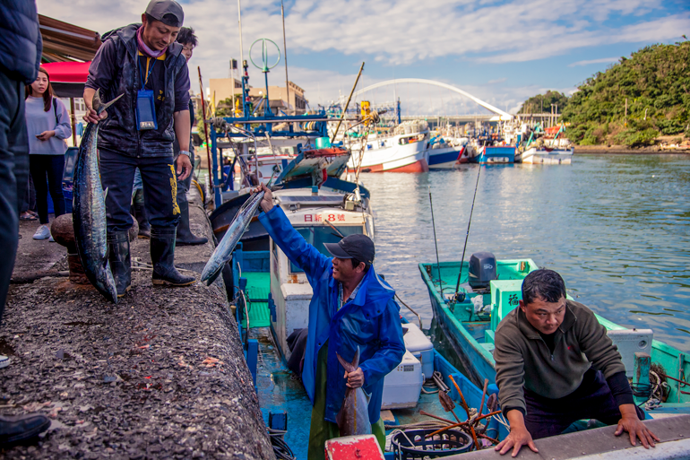 Fresh fish from the fishing boat