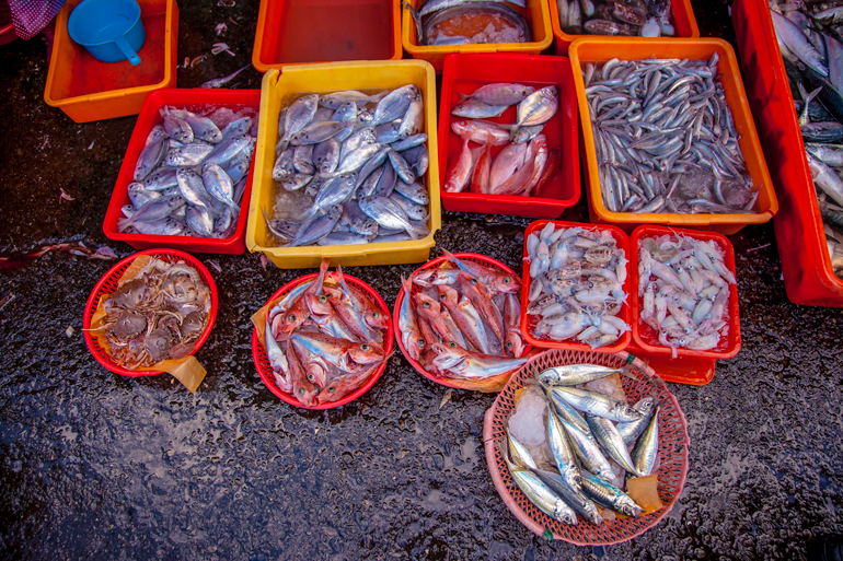Fish market stand