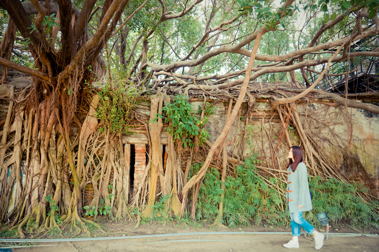 Anping Tree House