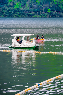 Swan boat on Liyu Lake