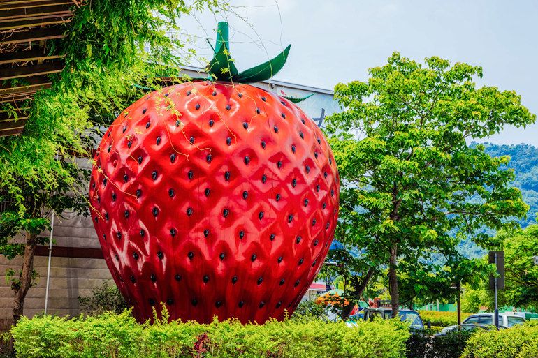 Big strawberry outside Dahu Wineland Resort