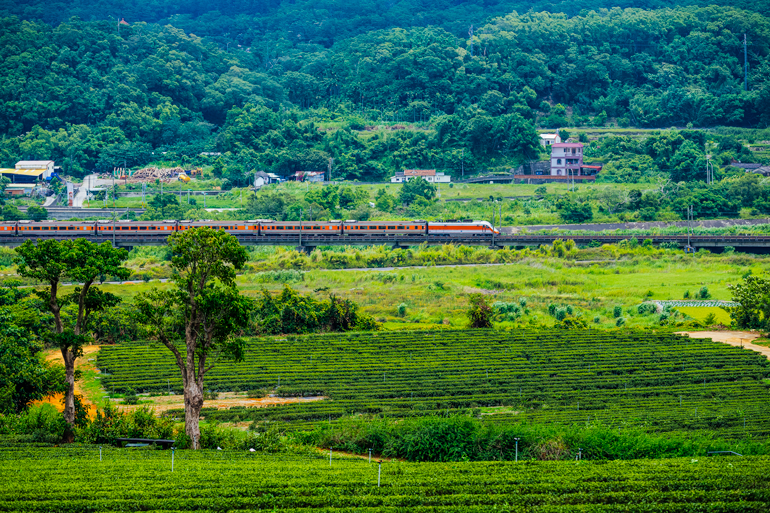 Train seen from Tongluo Tea Factory