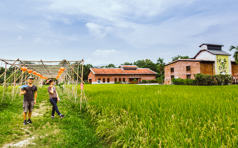 Rice paddies and farm houses