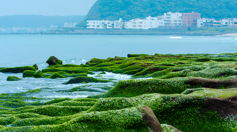 Laomei Green Reef