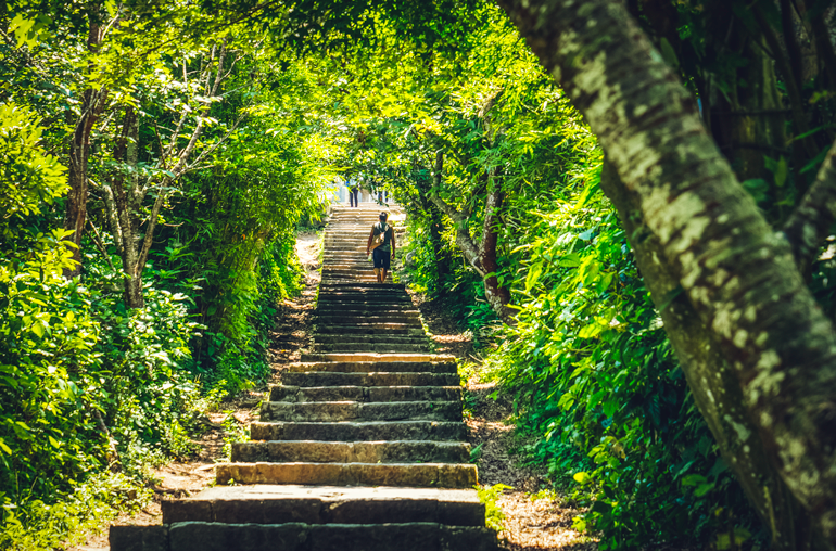 There are six hiking trails on Guanyinshan