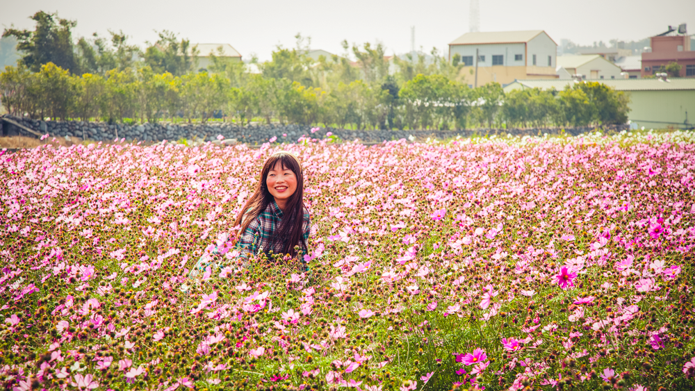 In a "sea of flowers" (Xinshe)