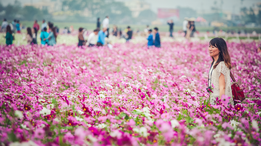 Sea of Flowers in Xinshe Festival