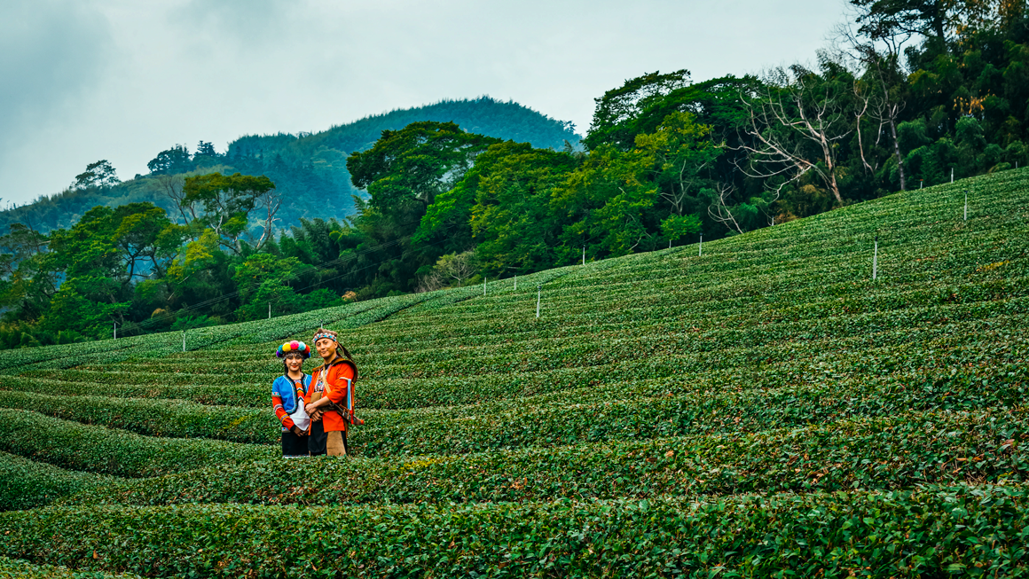 ALISHAN — Tea and Coffee