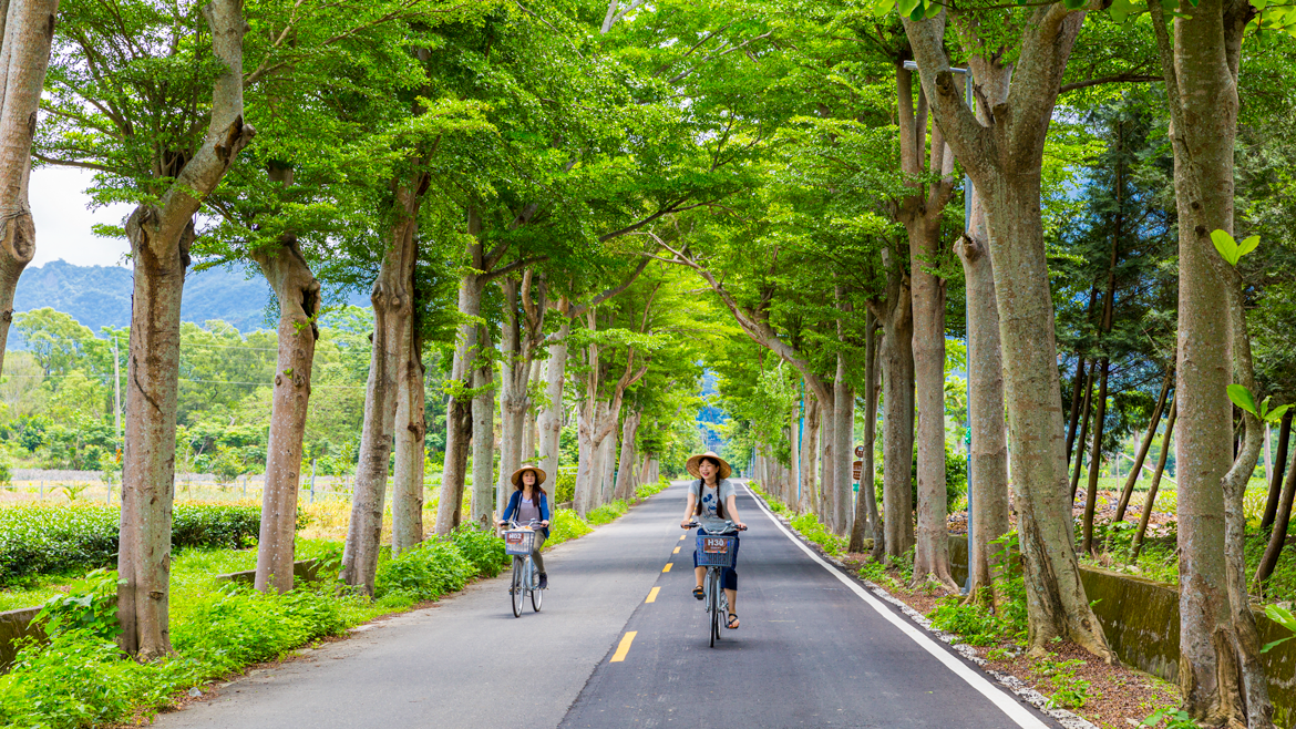 inland bicycle company