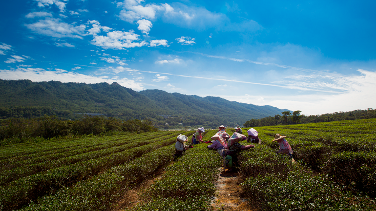 The HAKKA People - Taiwan Everything