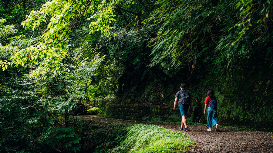 Brick Hill -Nam Long Shan Hike!