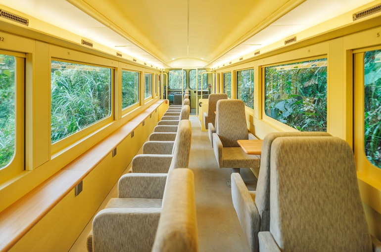 Vivid Express
